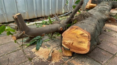 Quand et comment r&eacute;aliser un &eacute;lagage professionnel &agrave; SAINT-PIAT ?